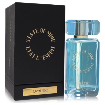 State Of Mind Aesthetic Turbulence Cologne By State Of Mind for Unisex EDP 100ml